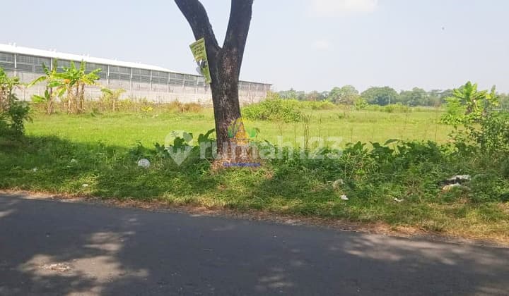 Tanah Zona Merah Luas 3300 di Tasikmadu, Karanganyar