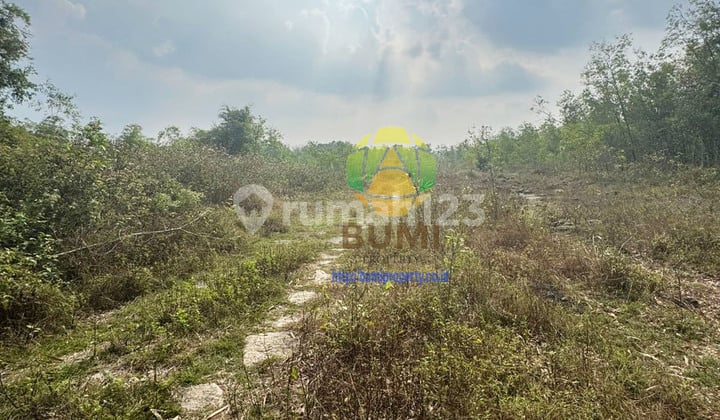 5 hectares of land in a strategic location in Wuryantoro, Wonogiri.