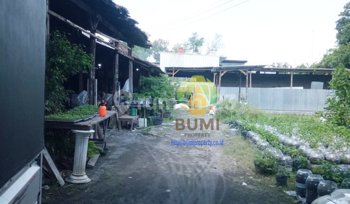 Tanah Bonus Bangunan Luas 885 Meter di Karanganom, Klaten
