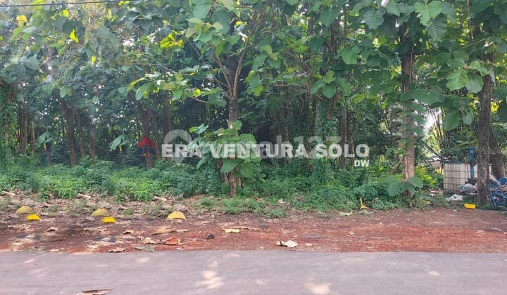 Tanah Pekarangan Strategis Siap Bangun Karanggeneng Boyolali