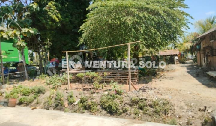 Tanah Pekarangan Strategis Kudu Baki