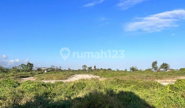Expansive Ocean View Land in the Siyut Beach Area, Gianyar - Bali