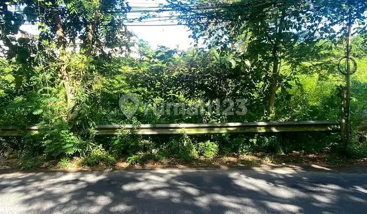 Cheap Land in Premium Location Karang Mas, Jimbaran - Bali