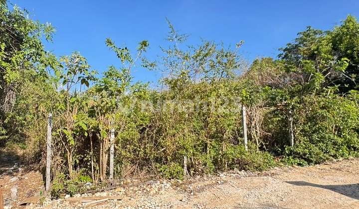 CHEAP LAND IN THE VILLA SAWANGAN AREA, NUSA DUA - BALI