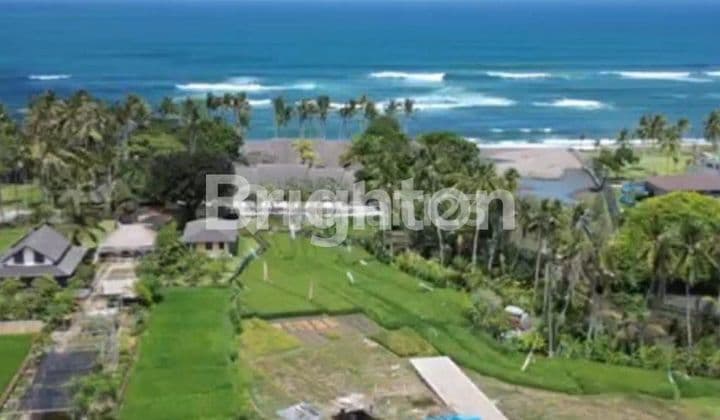 LAND IN CEMAGI VILLA & BEACH ENVIRONMENT, CANGGU - BALI