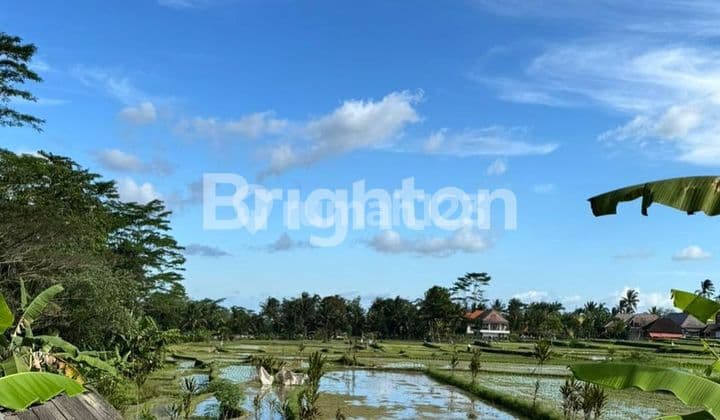 LAHAN DG VIEW SANGAT CAKEP DI KAWASAN KELIKI, UBUD - BALI