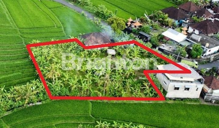LAHAN DI KAWASAN VILLA TUMBAK BAYUH, CANGGU - BALI
