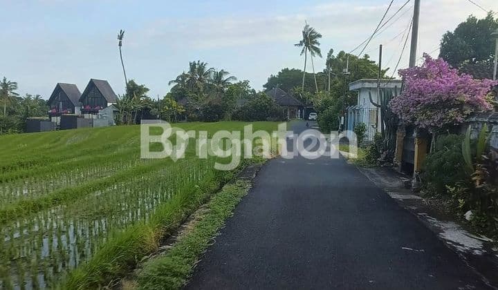 LAHAN MURAH DEKAT PANTAI LALANG LINGGAH, TABANAN - BALI