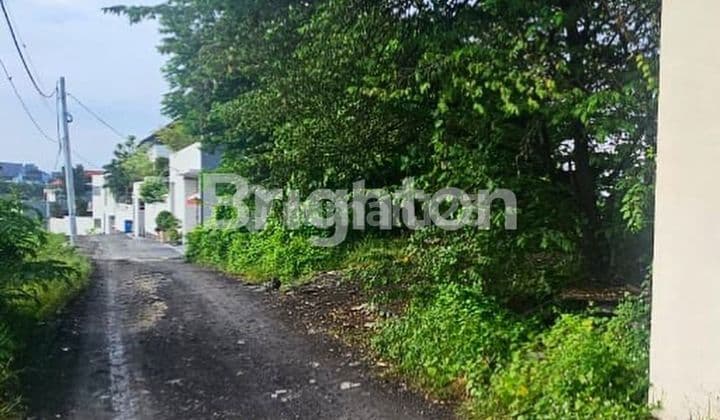 LAHAN KECIL DI CANGGU PANTAI BATUBOLONG, CANGGU - BALI