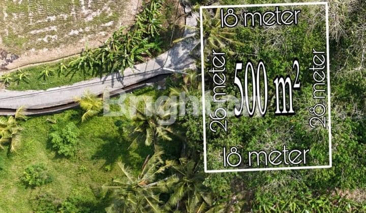LAHAN KECIL LANGKA DI KAWASAN VILLA TEBONGKANG - UBUD, BALI