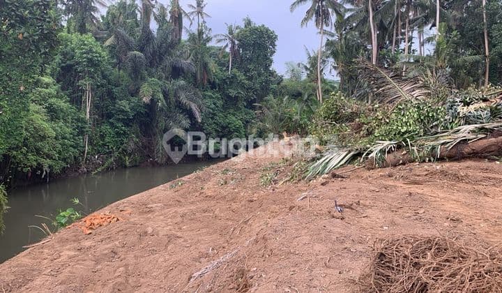 LAHAN BERBAGAI UKURAN DI KAWASAN ASRI PANTAI SABA, GIANYAR - BALI