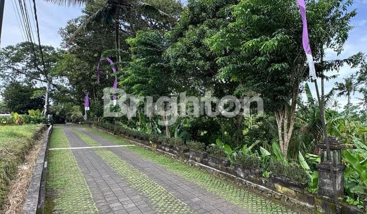LAHAN PREMIUM DENGAN VIEW SAWAH DI KEDEWATAN, UBUD - BALI
