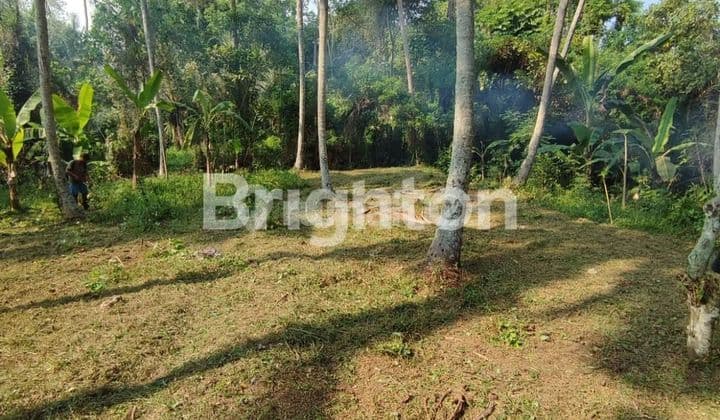 LAHAN DENGAN JUNGLE VIEW DI MAS - UBUD, BALI