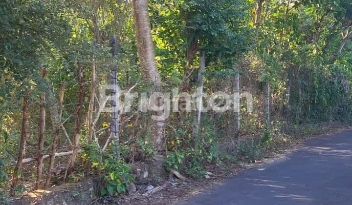 LAHAN LANGKA & MURAH DI RAYA ULUWATU, PECATU - BALI