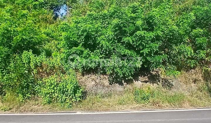 Tanah Ukuran Kecil di Area Pantai Tanah Barak, Pandawa - Bali