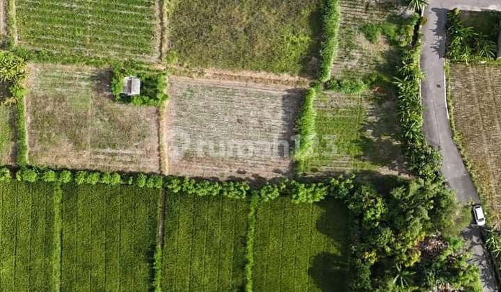 LAHAN MURAH DI KAWASAN BALI INTERNATIONAL HOSPITAL, SANUR - BALI
