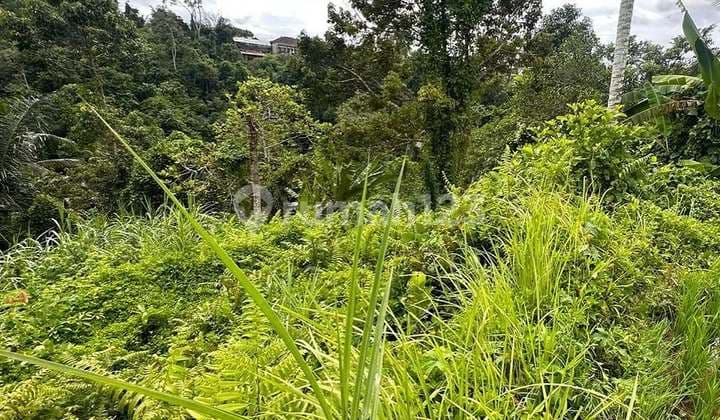 Lahan Murah di Kawasan Resto & Villa Tegallalang, Ubud - Bali