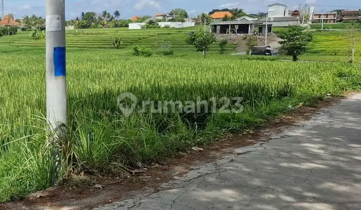 LAHAN DI KAWASAN VILLA PANTAI NYANYI, TABANAN - BALI