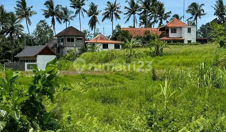 Land Plot in Villa Singakerta Area, Ubud - Bali