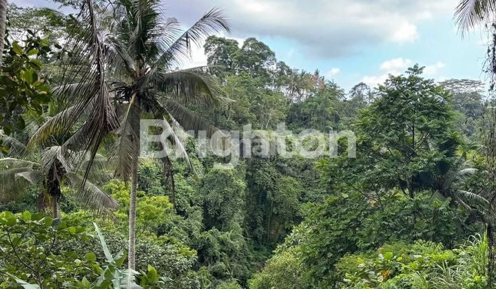 LAHAN DENGAN VIEW BAGUS DI KELIKI, UBUD RIVERSIDE - BALI