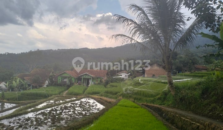 Tanah sawah lokasi Kamp Koleleuga, Gn Puntang Banjaran, dekat dgn Taman Wisata Bougenville, cocok utk villa