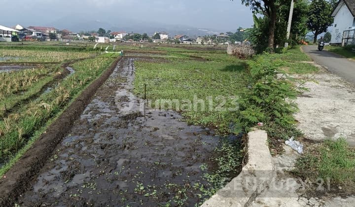 Tanah Sawah Lok Soreang, Dekat RS, Dekat Tol Soroja