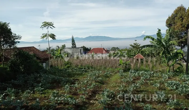 Tanah Di Cisarua, Cocok Utk Viia, Perumahan