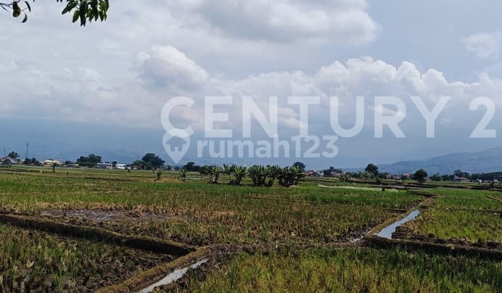 Land in Soreang, by the main highway. Suitable for hotels, restaurants.