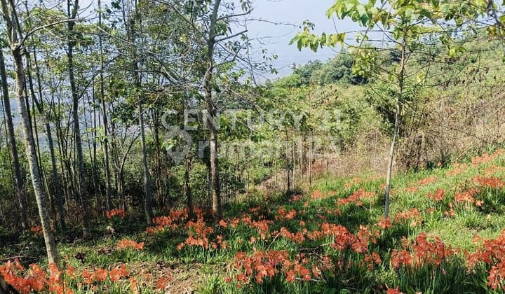 Land in Jelekong-Arjasari, Peaceful, Good View, Car Access.