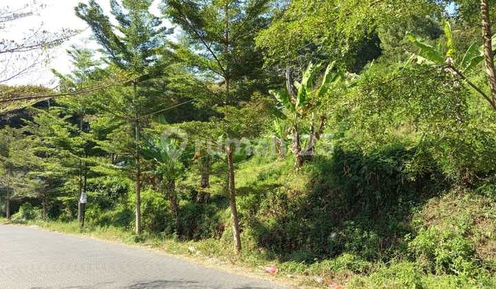 Tanah Kavling Murah di Bawa Njop di Setiabudi Kota Bandung