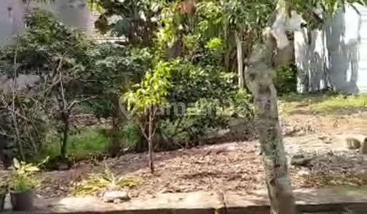 Tanah di Bunga-bunga 217 m² SHM cocok dibangun kost