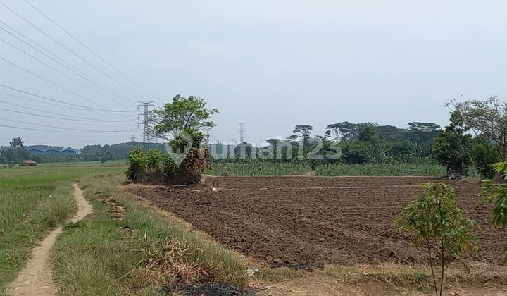 Tanah Industri Karawang Timur 15 Ha 10 Menit Tol