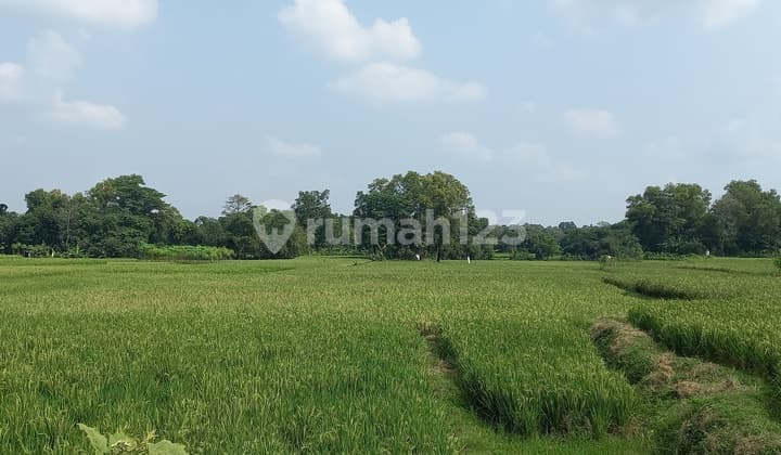 Purwakarta Industrial Land Cibatu. 10 Km from Sadang Toll.