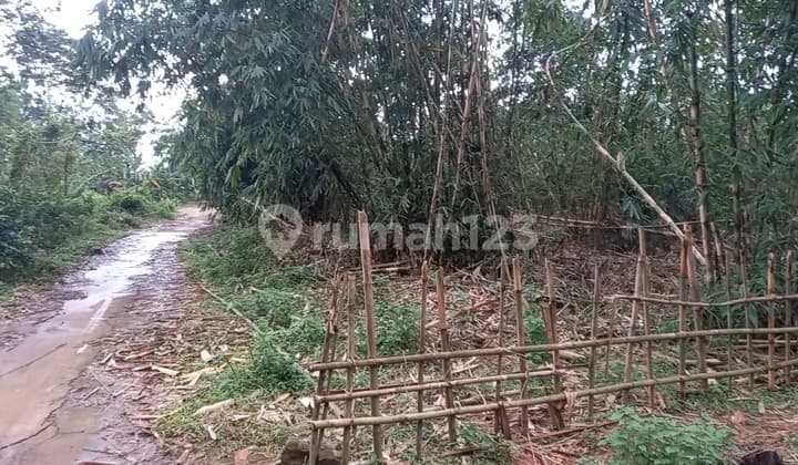 Tanah Industri Bojongmangu 20 Ha Toll Bojongmangu 2 Km