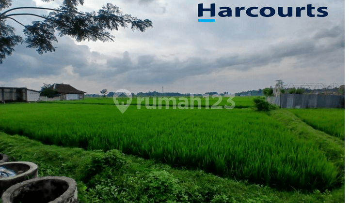 Tanah Strategis Zona Merah/Industri di Sumberlawang Sragen