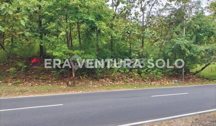 Tanah Zona Kuning Wuryantoro Wonogiri