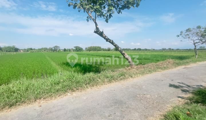 For Sale Land on Menuran Street, Baki, Karanganyar