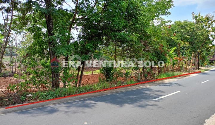 Tanah Pekarangan Zona Merah Mulur