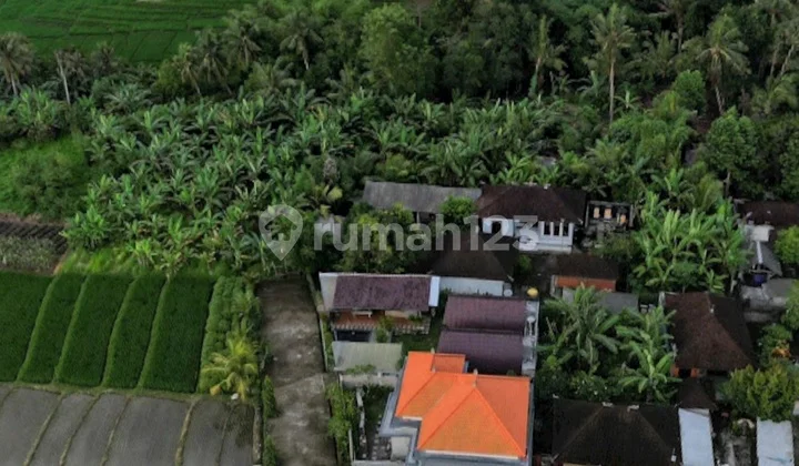 Tanah Dekat Pantai Kelating SHM 900.0 M²