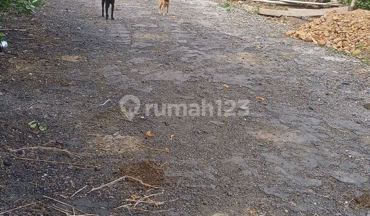 Tanah di Jalan Pantai Nyanyi, Beraban Tabanan 600 SHM m²