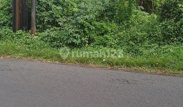 Tanah di Jalan Wisnu Marga Tabanan Bali 875 SHM m²