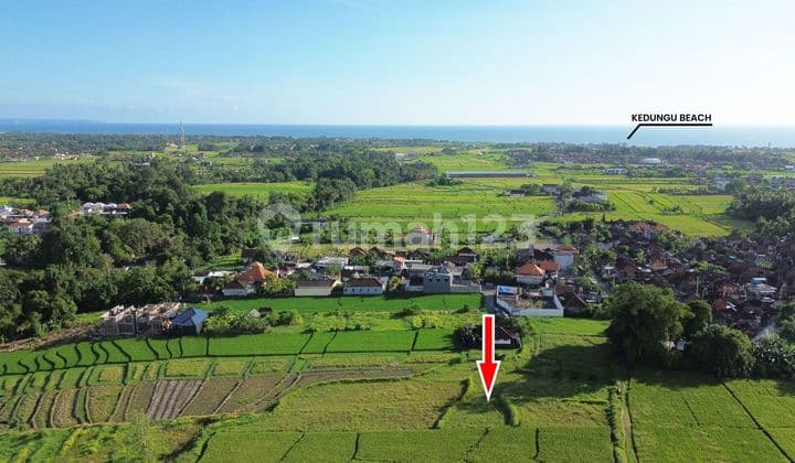 Tanah di Jalan Pantai Kedungu, Desa Belalang Tabanan 2236 SHM M²