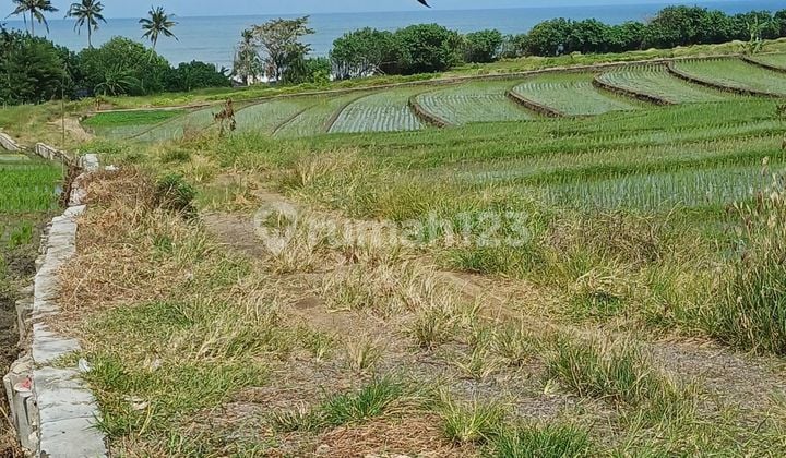 Land on Kelating beach road Kerambitan Tabanan 2000 SHM m²