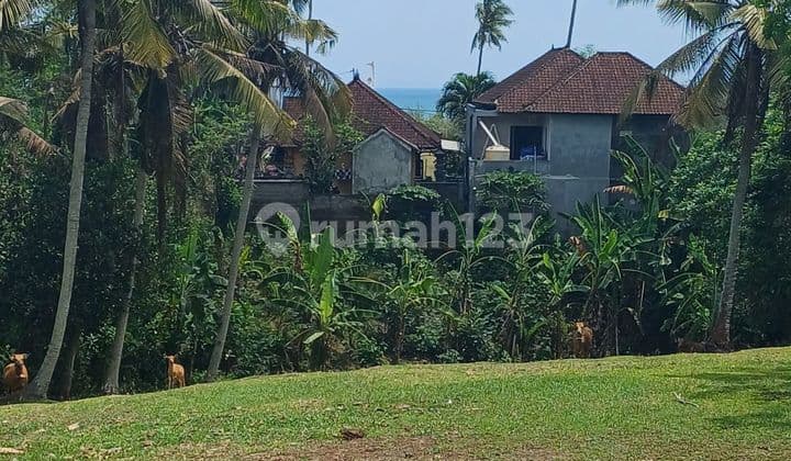 Tanah Balian Beach 1750 SHM m² Lalanglinggah