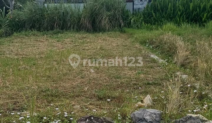 Tanah Dekat Pantai Kedungu Shm 850.0 M²