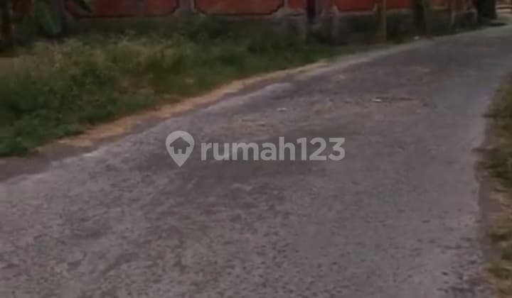 Tanah Dekat Pantai Kedungu Belalang Shm 305.0 M²