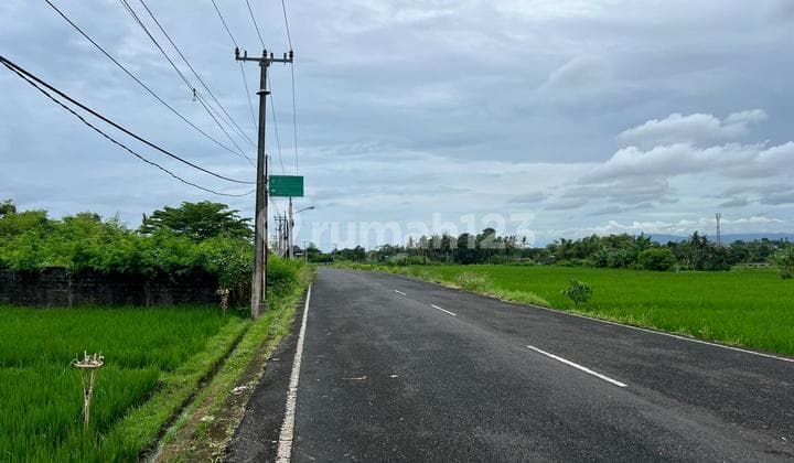 Tanah Dekat Beach Glamping Kedungu Shm 1130.0 M²