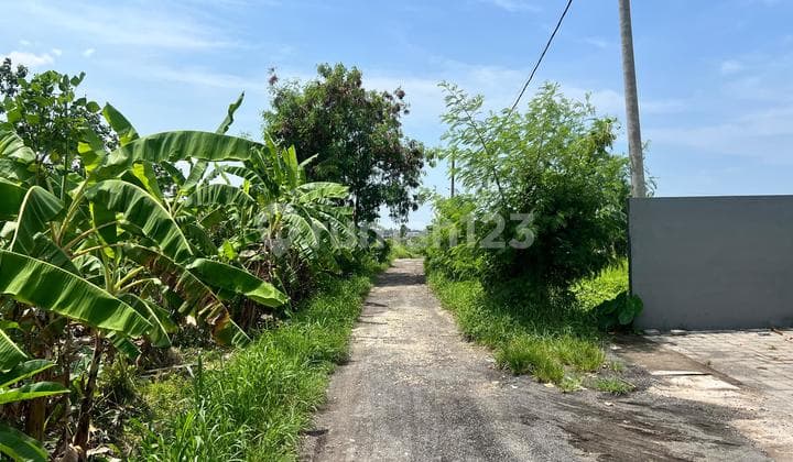 Tanah Di Jl. Pantai Berawa Tibubeneng Canggu Shm 1085.0 M²