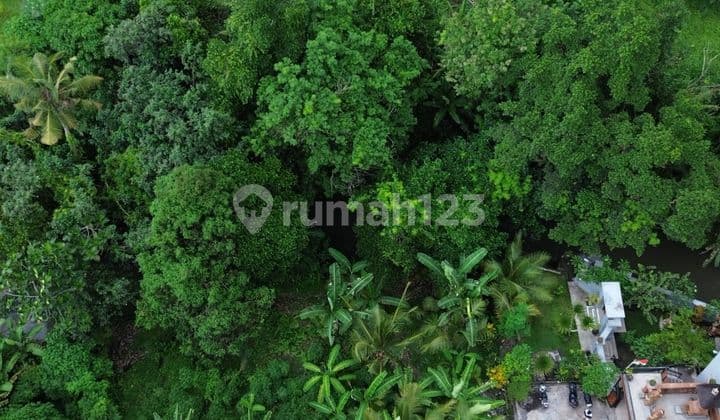 Tanah Dekat Pantai Kedungu Shm 690.0 M²