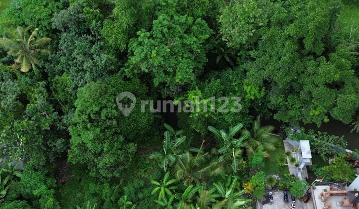 Tanah Dekat Pantai Kedungu Shm 690.0 M²